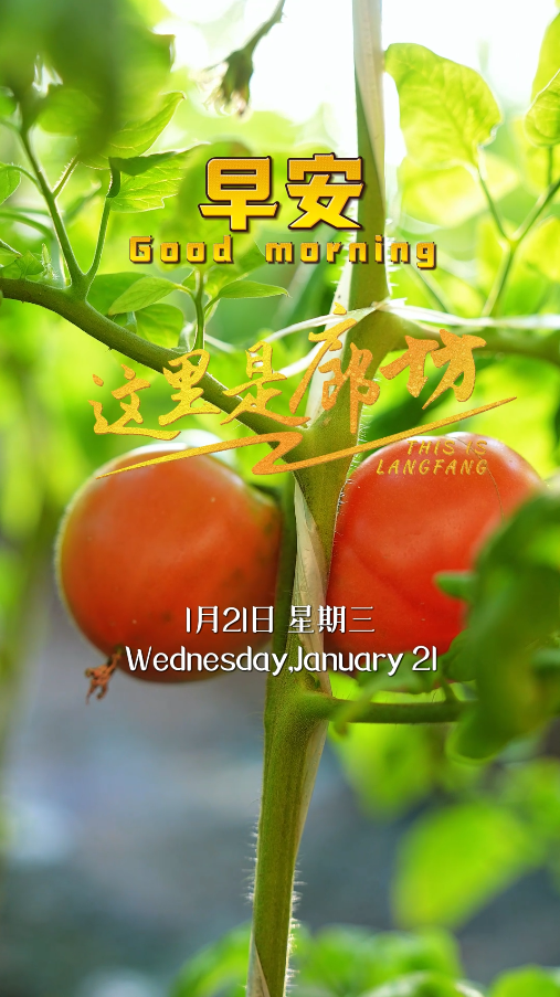 【這里是廊坊】愿你日子紅火 好運翻番